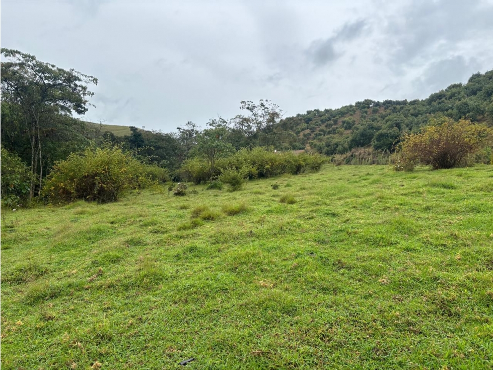 Venta LOTE en Vereda La Amapola. El Retiro. Antioquia.(C) — foto 4