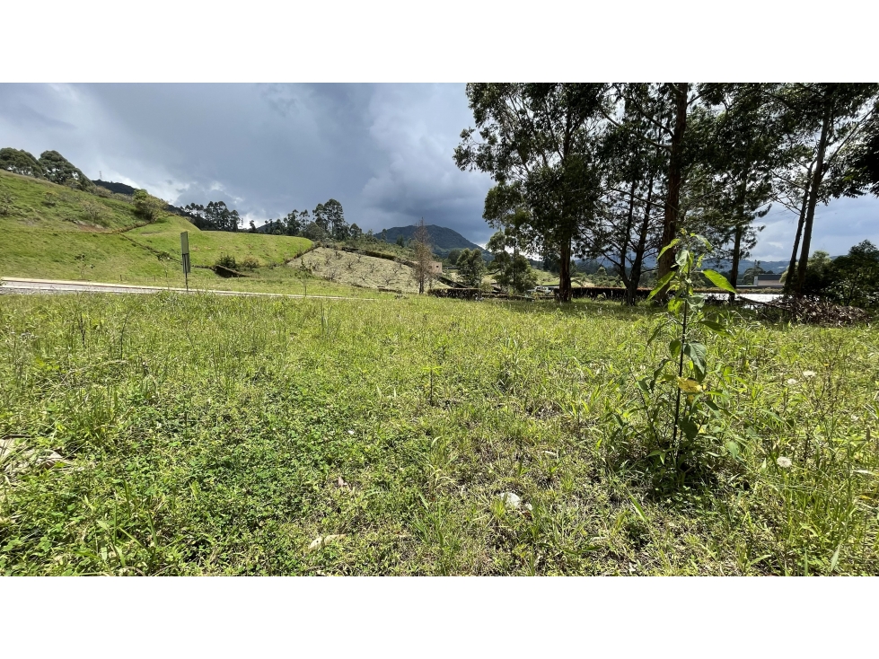 VENTA DE LOTE EN RESERVA SILVESTRE SECTOR EL YARUMO LA CEJA ANTIOQUIA