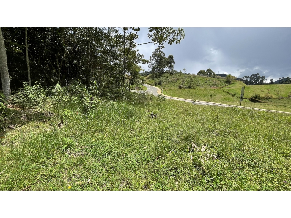 VENTA DE LOTE EN RESERVA SILVESTRE SECTOR EL YARUMO LA CEJA ANTIOQUIA — foto 2