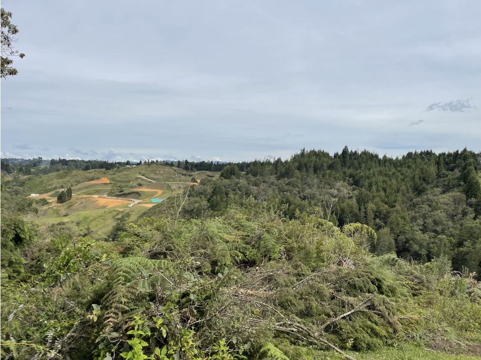 VENTA O ARRIENDO DE FINCA EN VEREDA LA MOSQUITA GUARNE ANTIOQUIA — foto 6