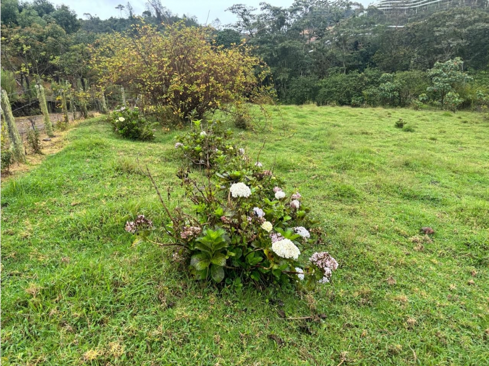 Venta LOTE en Vereda La Amapola. El Retiro. Antioquia.(C) — foto 6
