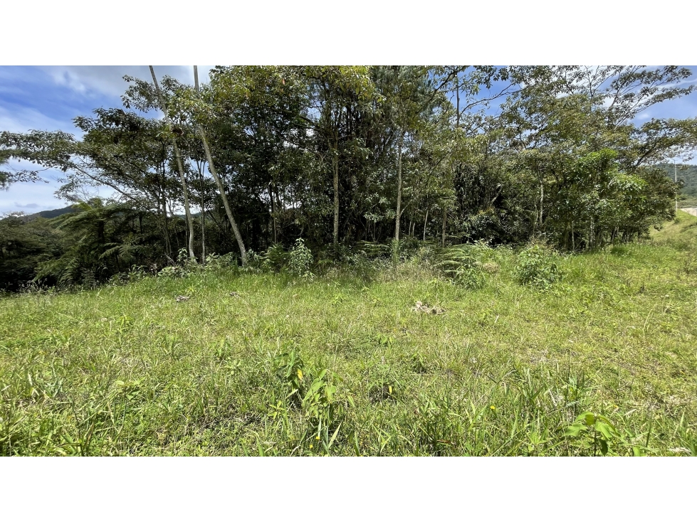 VENTA DE LOTE EN RESERVA SILVESTRE SECTOR EL YARUMO LA CEJA ANTIOQUIA — foto 3