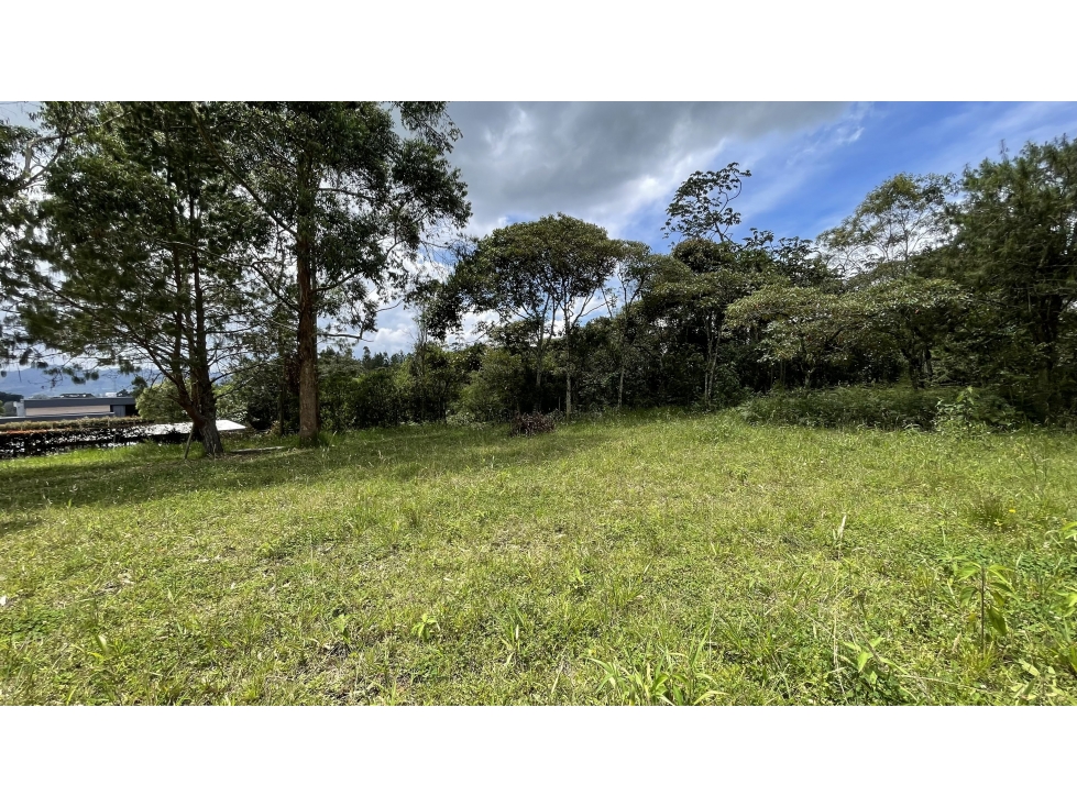 VENTA DE LOTE EN RESERVA SILVESTRE SECTOR EL YARUMO LA CEJA ANTIOQUIA — foto 5