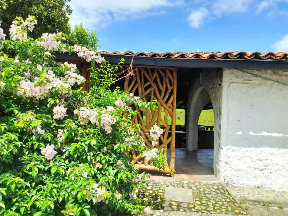 VENTA DE FINCA DE RECREO EN VEREDA LA CHINA MANIZALES CALDAS — foto 5