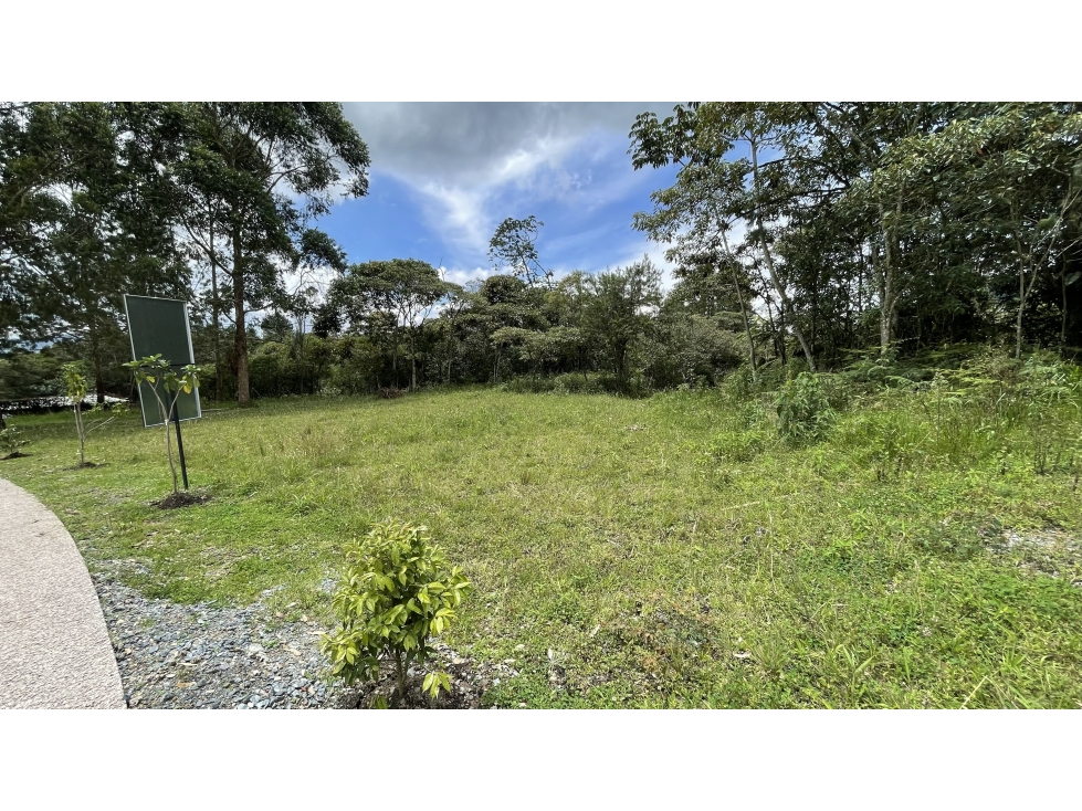 VENTA DE LOTE EN RESERVA SILVESTRE SECTOR EL YARUMO LA CEJA ANTIOQUIA — foto 4