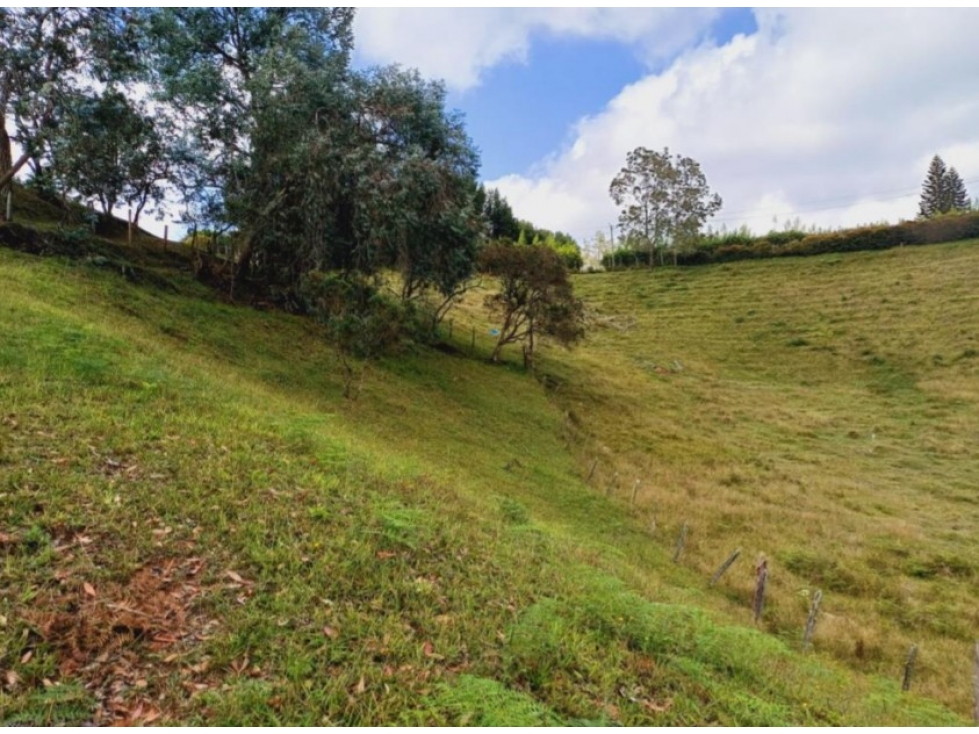 Venta lote con casa en San Vicente Ferrer, Vereda Ovejas — foto 3