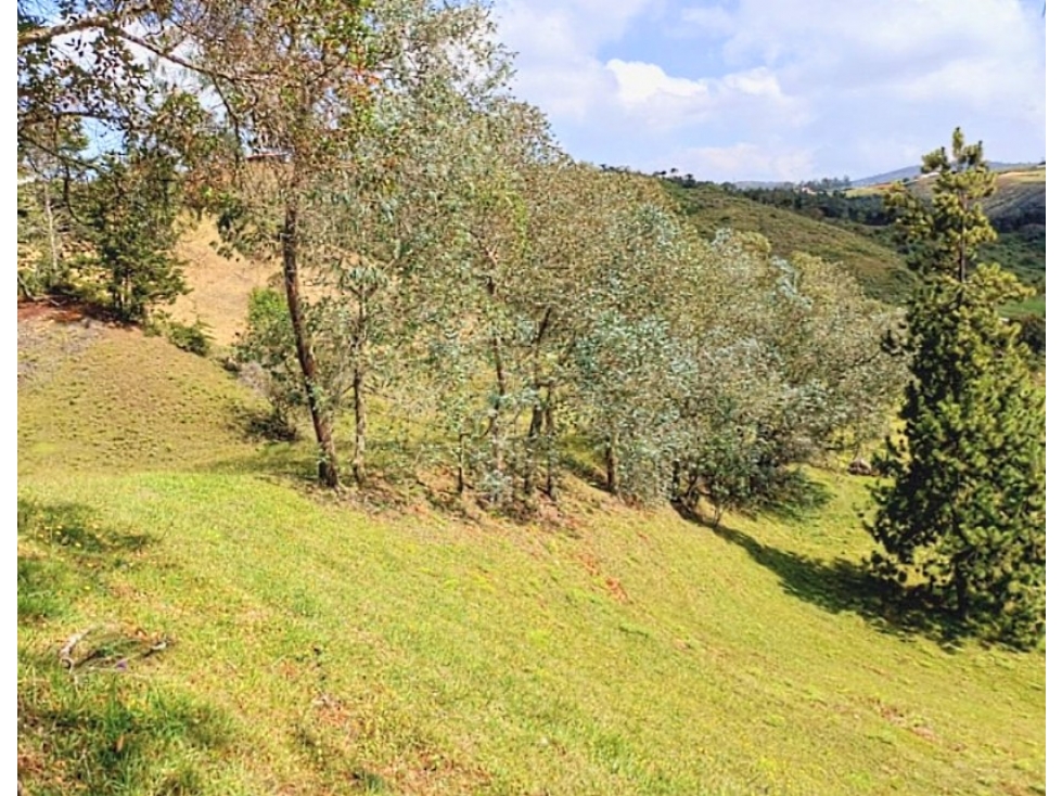 Venta lote con casa en San Vicente Ferrer, Vereda Ovejas — foto 6