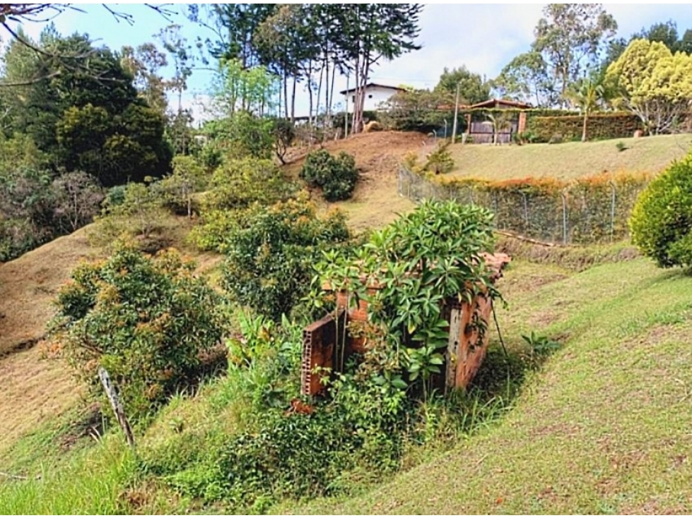 Venta lote con casa en San Vicente Ferrer, Vereda Ovejas — foto 4