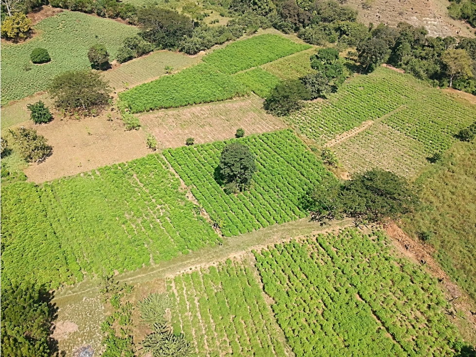 Venta Finca agroindustrial en Vereda El Tunal Santafe de Antioquia. — foto 2