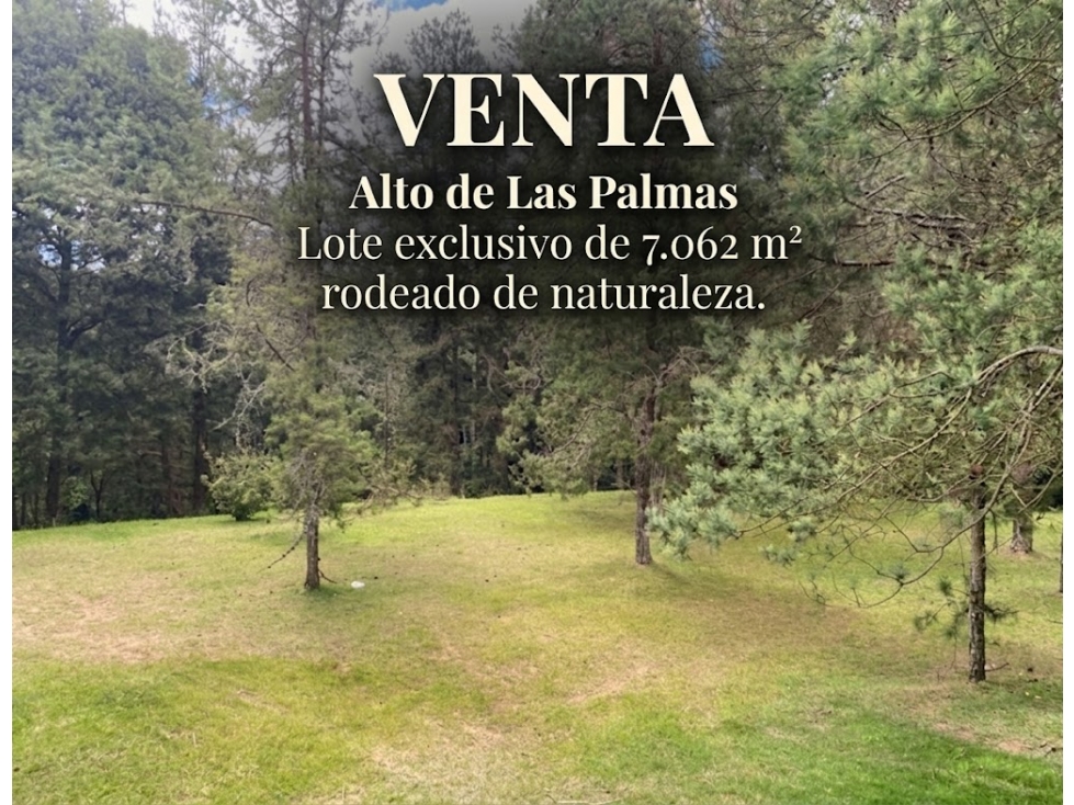 VENDO LOTE ALTO DE LAS PALMAS
