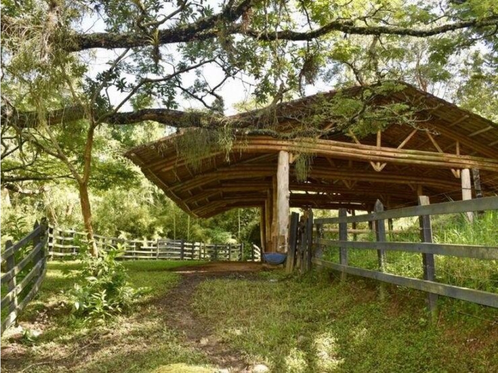 Venta Finca Girardota Corregimiento Cabildo Antioquia — foto 3