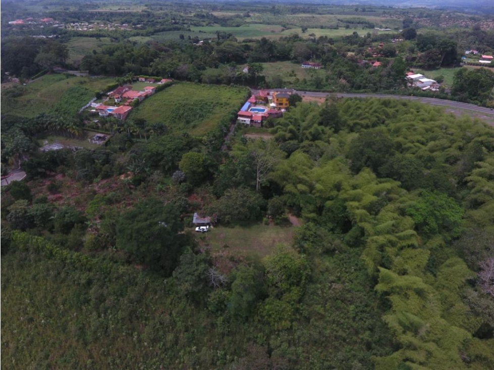 Lote para la venta en La Tebaida Q. - 1
