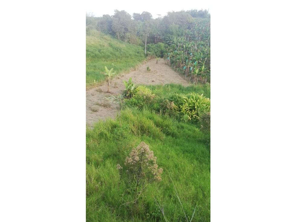 Lote para la venta en Pueblotapao Montenegro Q. - 4