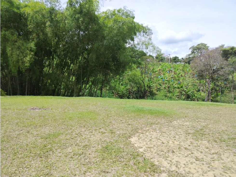 Lote Campestre para la venta en la vía La Tebaida - Armenia — foto 2