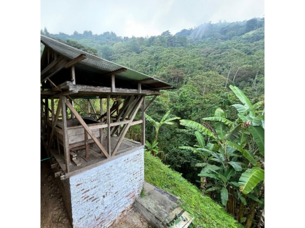 Finca para la venta en Córdoba Quindío — foto 4