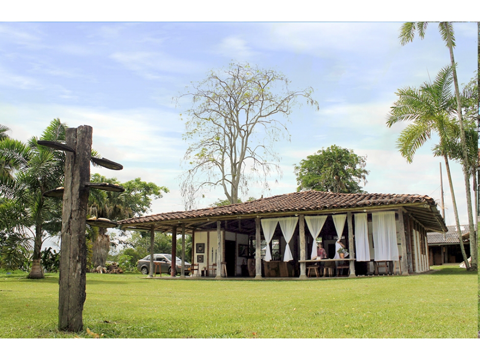 Venta de finca en "Pueblotapao" Quindio - 4