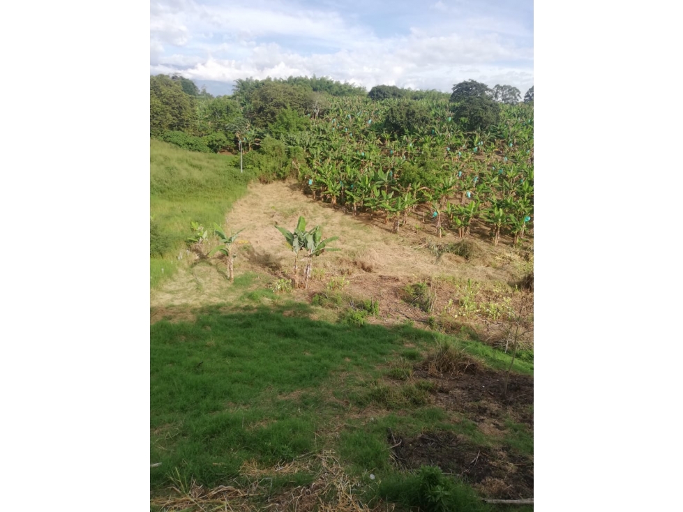 Lote para la venta en Pueblotapao Montenegro Q. - 3