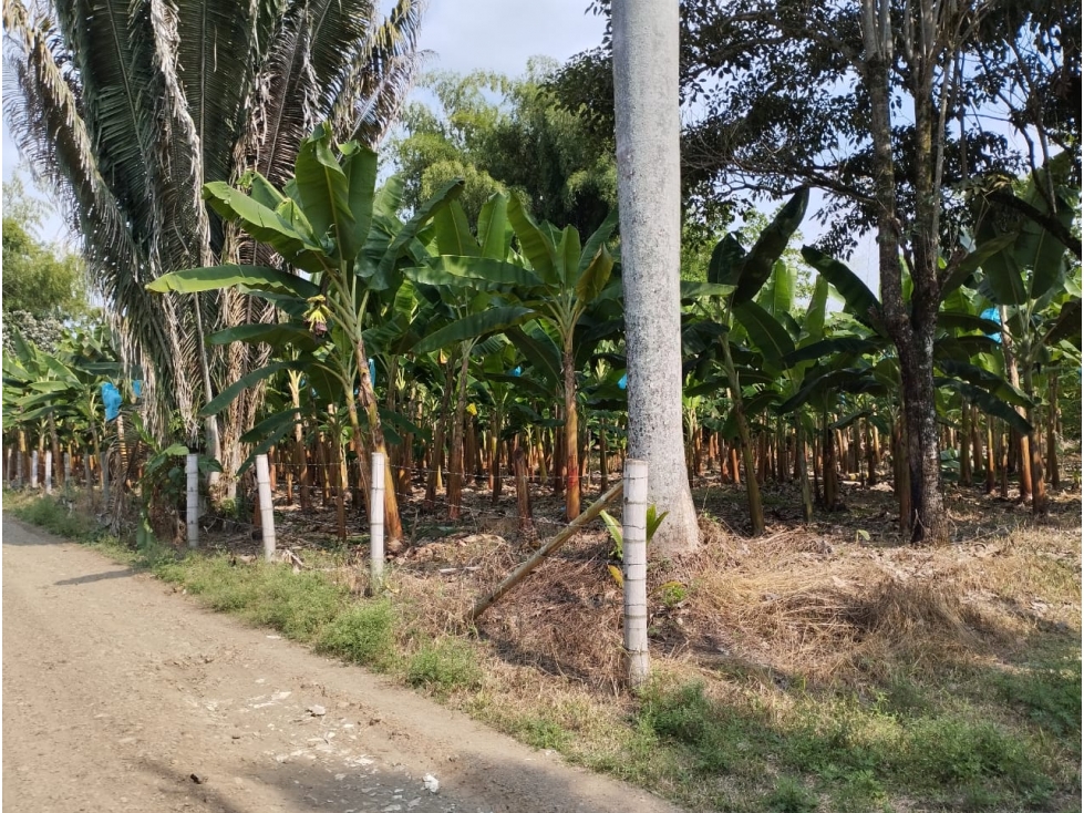 2 Lotes para la venta en Pueblotapao Montenegro Q. — foto 2