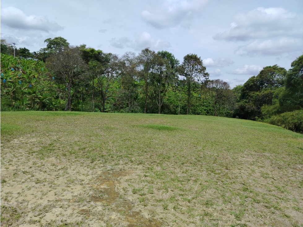Lote Campestre para la venta en la vía La Tebaida - Armenia — foto 4