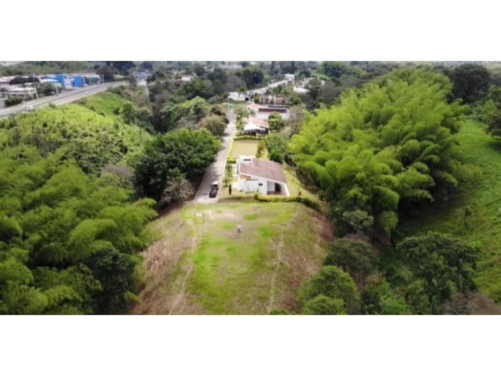 Lote Campestre para la venta en la vía La Tebaida - Armenia — foto 3