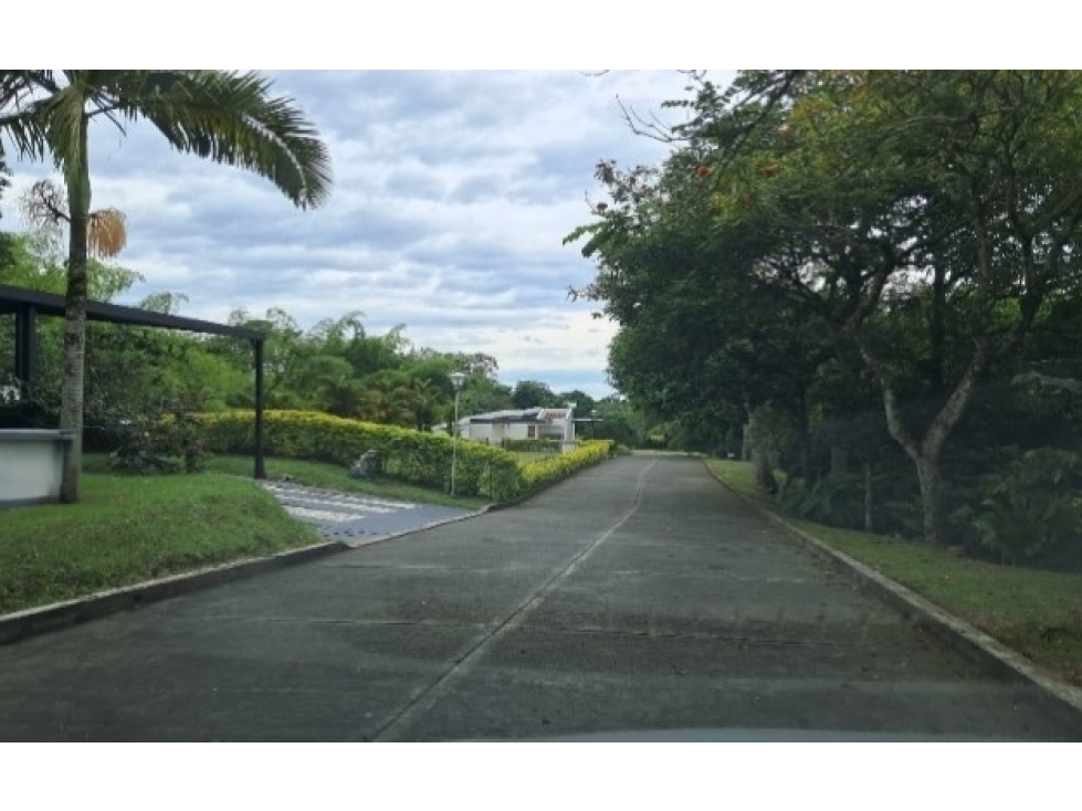 Lote Campestre para la venta en la vía La Tebaida - Armenia — foto 5