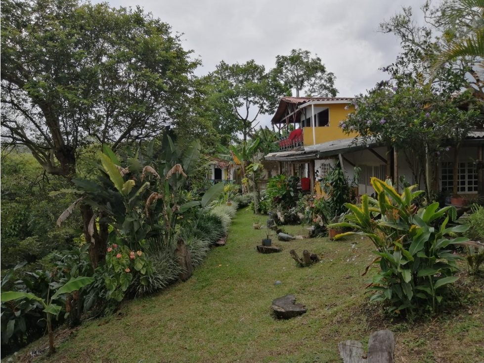 Casa-Lote Campestre en Armenia Q. - 5