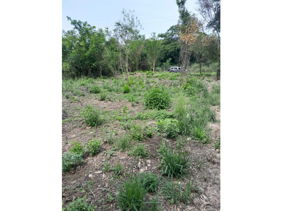 TERRENO EN OFERTA A 300 METROS DE ABASTO NORTE - 2