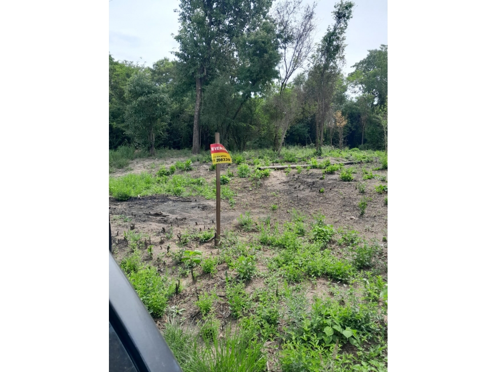 TERRENO EN OFERTA A 300 METROS DE ABASTO NORTE - 3