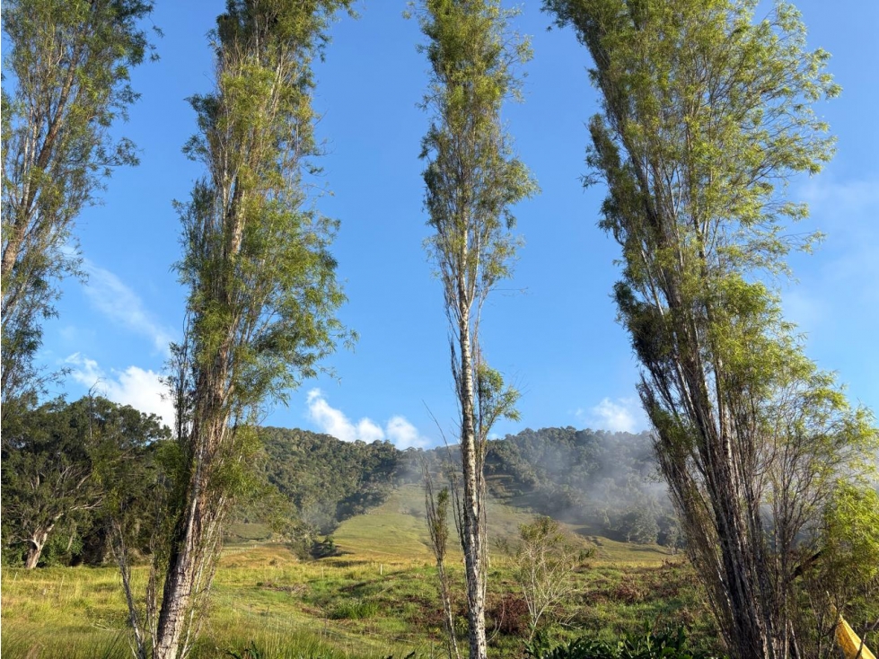Venta Casa Campestre Calima Darien - 4