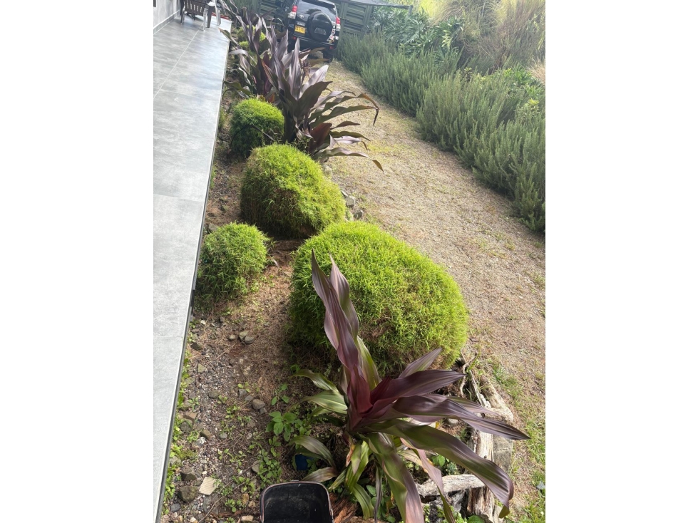 Venta Casa Campestre Calima Darien - 5
