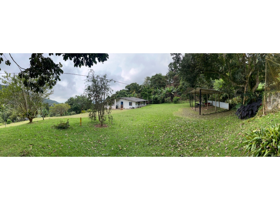 Lote DAPA