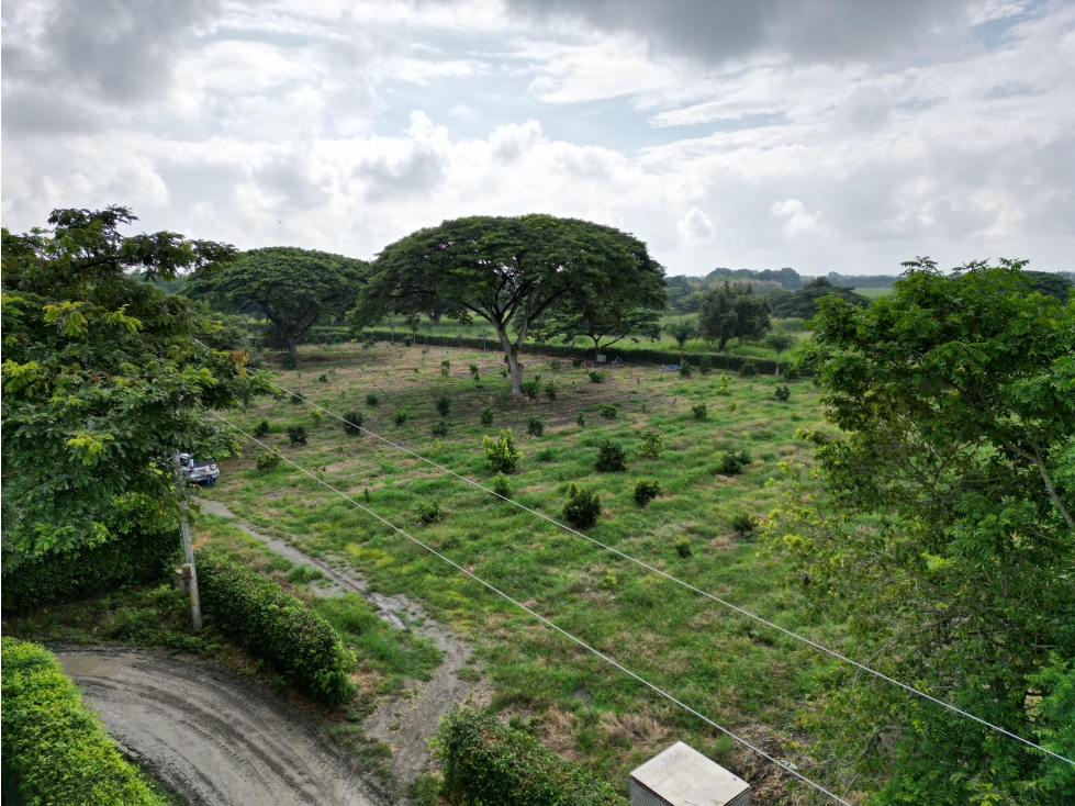 Lote ROZO CV — foto 2