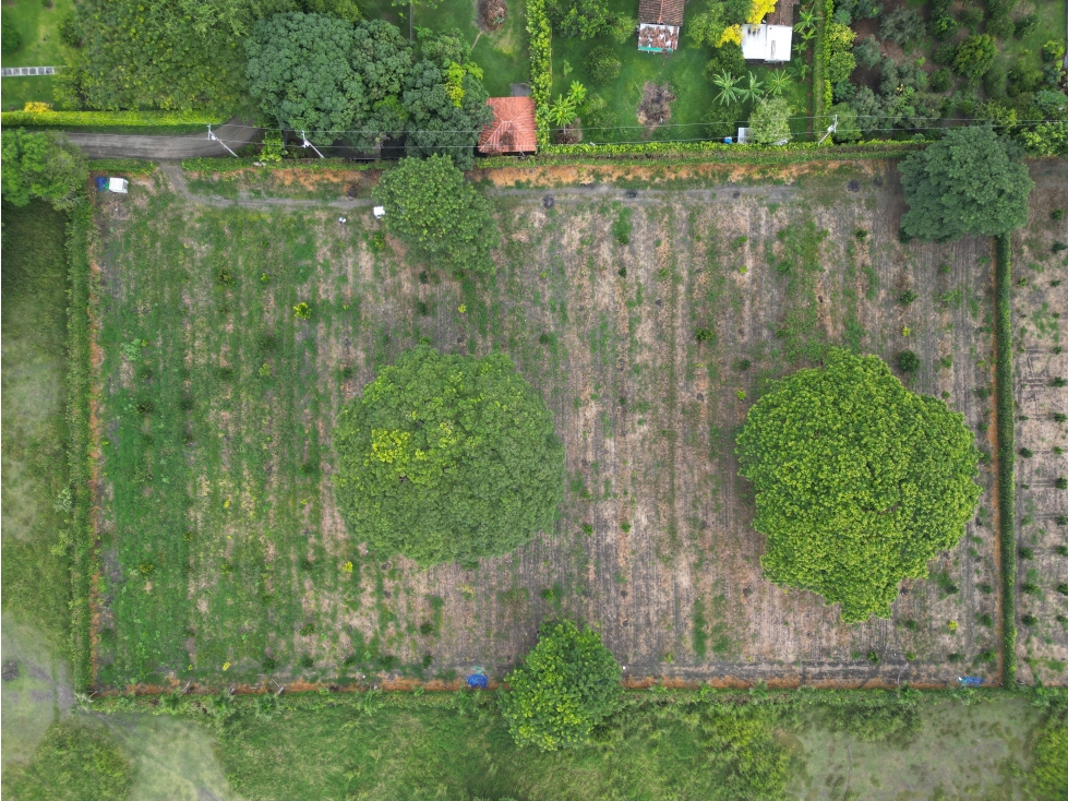 Lote ROZO CV — foto 4