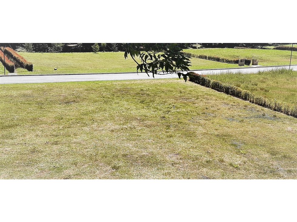 Lote en venta en El Carmen de Viboral - Vereda Aguas Claras — foto 5