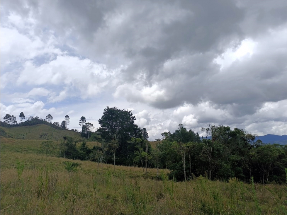 Lote en venta para desarrollador en El Retiro - Pantanillo — foto 2
