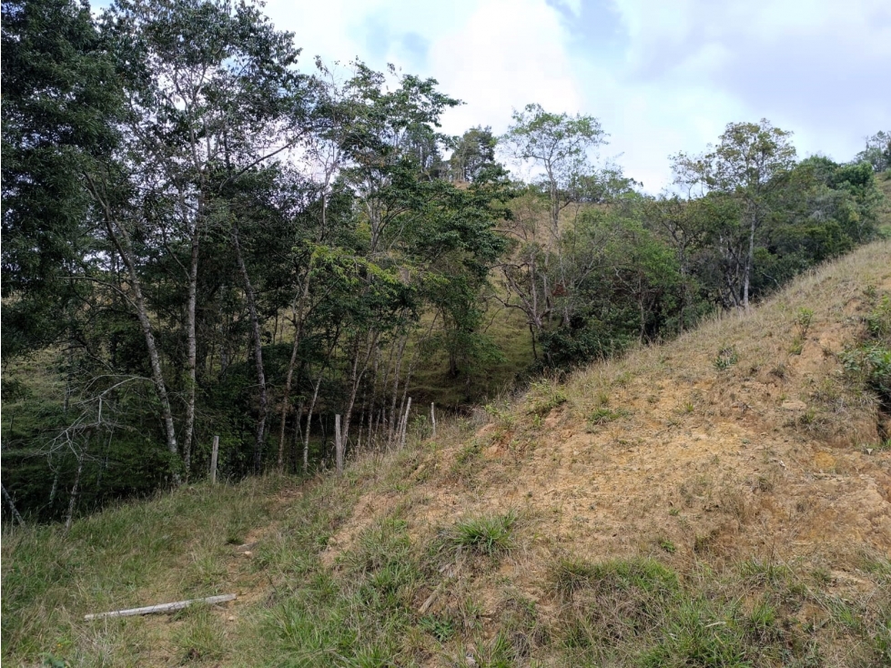 Lote en venta para desarrollador en El Retiro - Pantanillo — foto 4