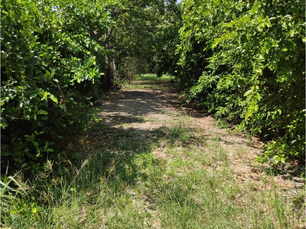 Lote en venta Sopetran - Antioquia — foto 2
