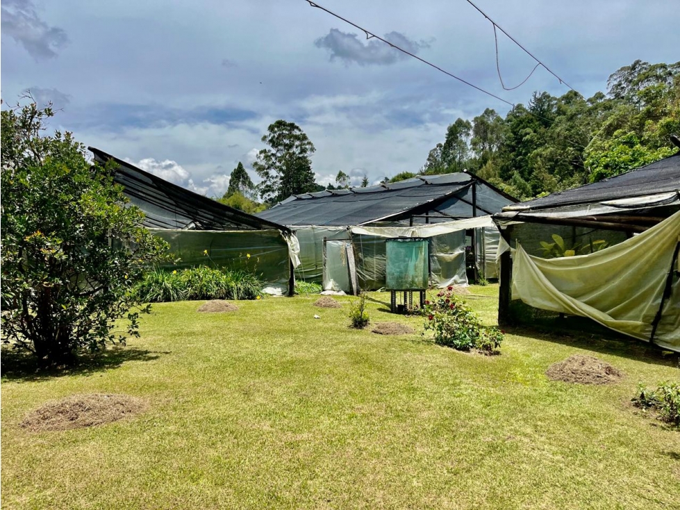 Lote en venta de múltiples usos - Rionegro (JS) — foto 4