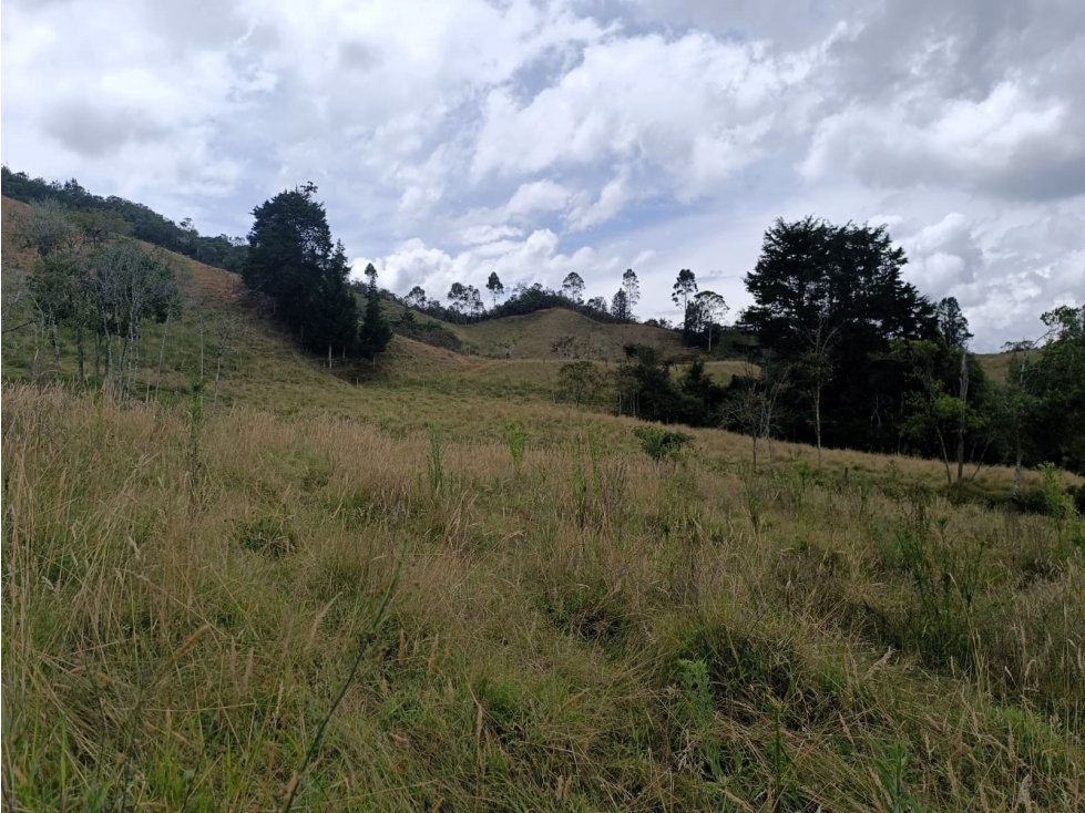 Lote en venta para desarrollador en El Retiro - Pantanillo — foto 5