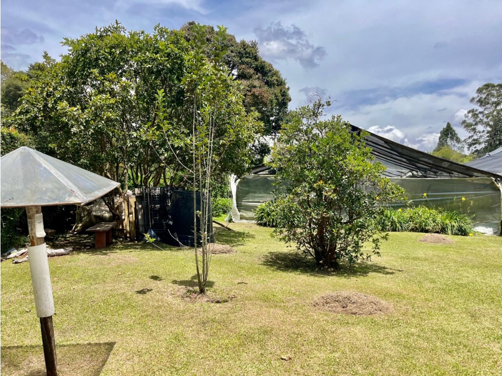 Lote en venta de múltiples usos - Rionegro (JS) — foto 5