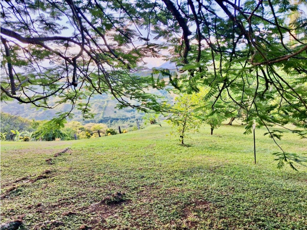 Hermosa finca a la venta en San Jerónimo — foto 6