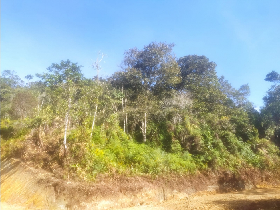 Lote en venta San Vicente de Ferrer - vereda Barro Blanco — foto 2