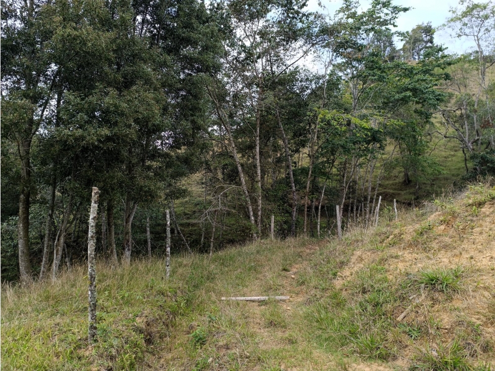 Lote en venta para desarrollador en El Retiro - Pantanillo — foto 6