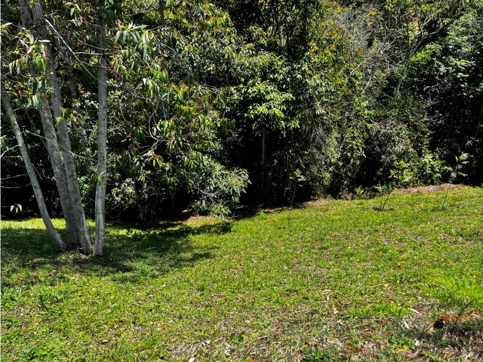 Lote hermoso en venta La Ceja - Sector El Guamito — foto 3