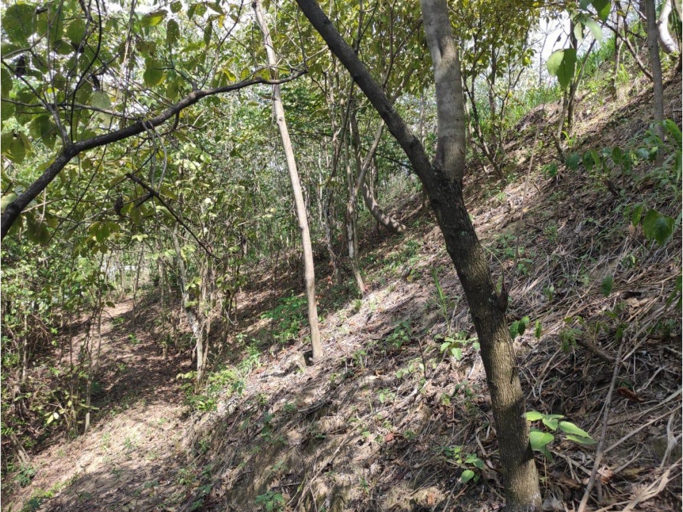 Lote en venta Sopetran - Antioquia — foto 5