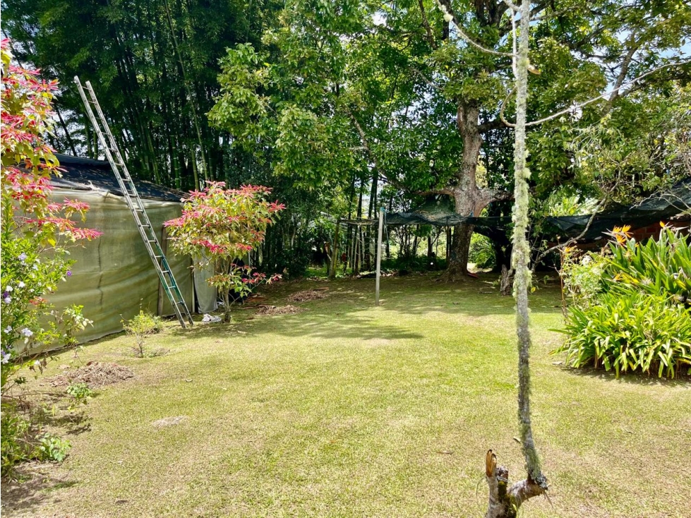 Lote en venta de múltiples usos - Rionegro (JS)