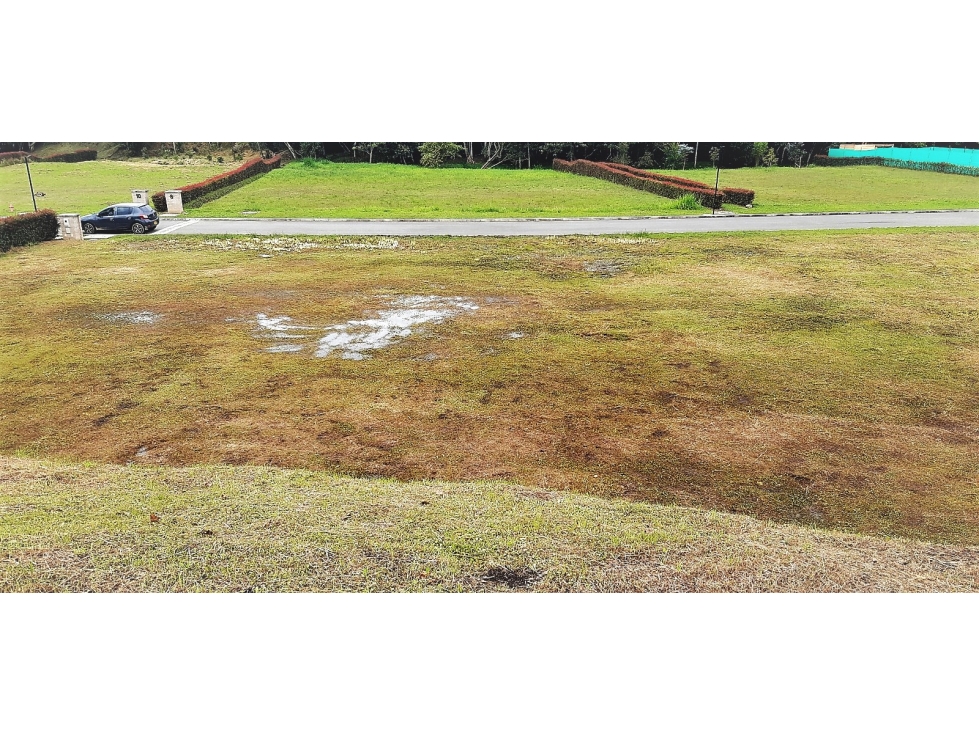 Lote en venta en El Carmen de Viboral - Vereda Aguas Claras — foto 4