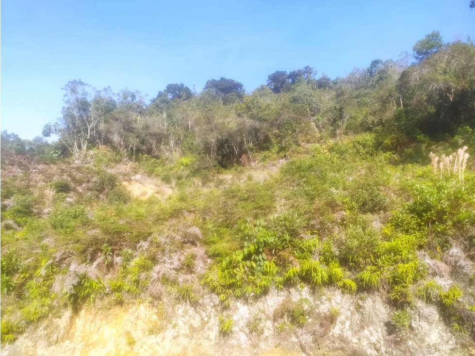 Lote en venta San Vicente de Ferrer - vereda Barro Blanco — foto 3