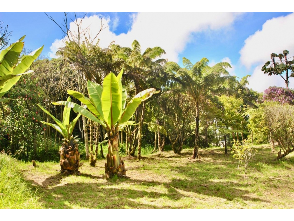 Lote en venta Envigado - Vereda La Acuarela — foto 6