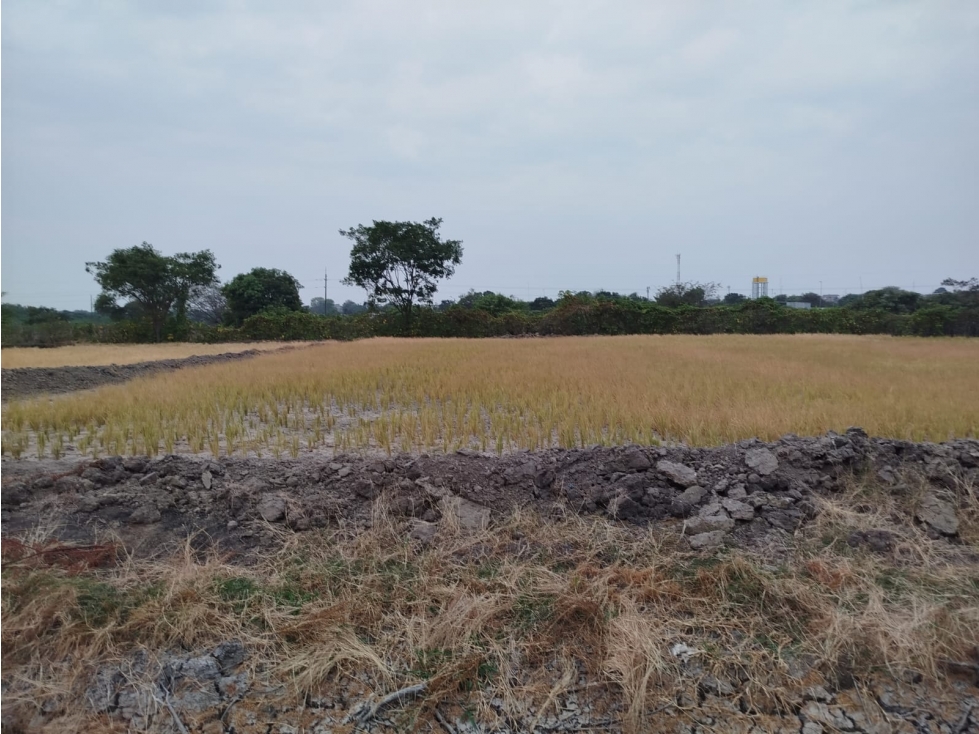 TERRENO EN VENTA LOMAS DE SARGENTILLO - 3